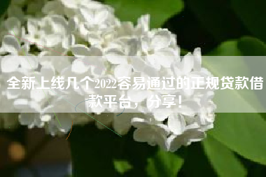 全新上线几个2022容易通过的正规贷款借款平台，分享！