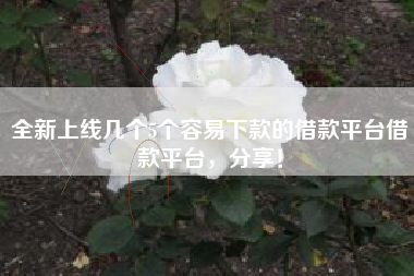 全新上线几个5个容易下款的借款平台借款平台，分享！