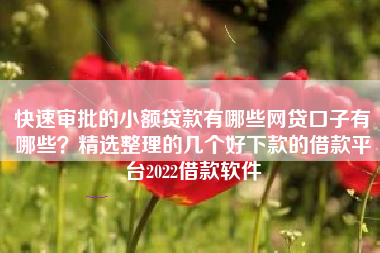 快速审批的小额贷款有哪些网贷口子有哪些？精选整理的几个好下款的借款平台2022借款软件