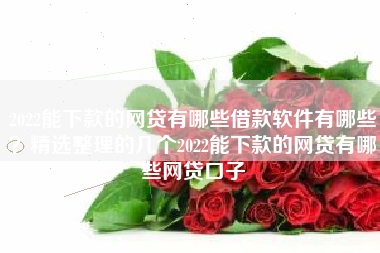 2022能下款的网贷有哪些借款软件有哪些？精选整理的几个2022能下款的网贷有哪些网贷口子