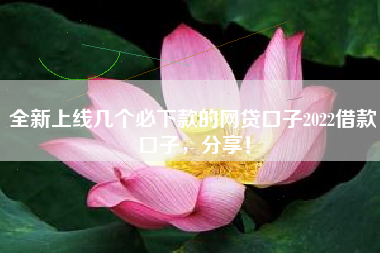 全新上线几个必下款的网贷口子2022借款口子，分享！