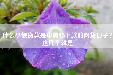 什么小额贷款是申请必下款的网贷口子？这几个就是