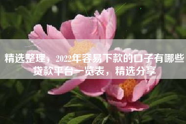 精选整理，2022年容易下款的口子有哪些贷款平台一览表，精选分享