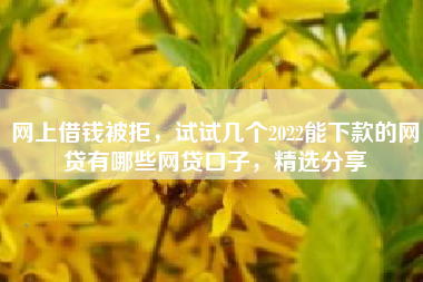 网上借钱被拒，试试几个2022能下款的网贷有哪些网贷口子，精选分享