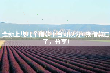 全新上线几个借款平台可以分48期借款口子，分享！