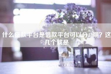 什么贷款平台是借款平台可以分48期？这几个就是