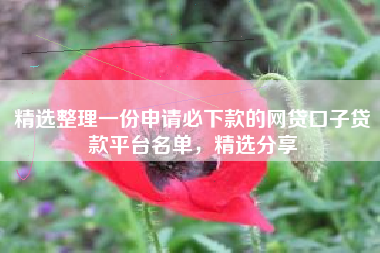 精选整理一份申请必下款的网贷口子贷款平台名单，精选分享