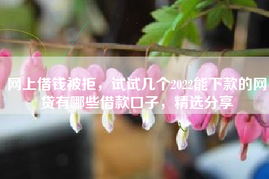 网上借钱被拒，试试几个2022能下款的网贷有哪些借款口子，精选分享