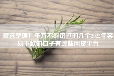 精选整理！千万不能错过的几个2022年容易下款的口子有哪些网贷平台