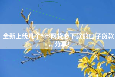 全新上线几个2022网贷必下款的口子贷款，分享！