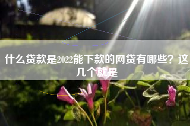 什么贷款是2022能下款的网贷有哪些？这几个就是