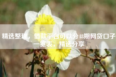 精选整理，借款平台可以分48期网贷口子一览表，精选分享