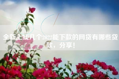 全新上线几个2022能下款的网贷有哪些贷款，分享！
