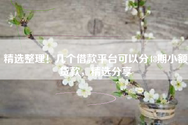 精选整理！几个借款平台可以分48期小额贷款，精选分享