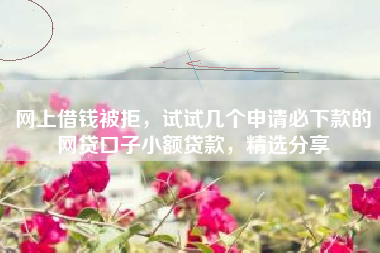 网上借钱被拒，试试几个申请必下款的网贷口子小额贷款，精选分享