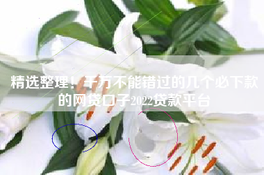精选整理！千万不能错过的几个必下款的网贷口子2022贷款平台