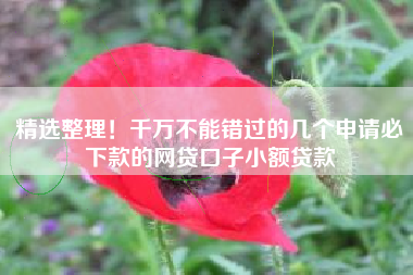 精选整理！千万不能错过的几个申请必下款的网贷口子小额贷款