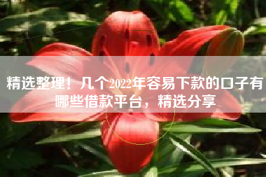 精选整理！几个2022年容易下款的口子有哪些借款平台，精选分享