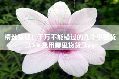 精选整理！千万不能错过的几个小额贷款5000急用哪里贷贷款app
