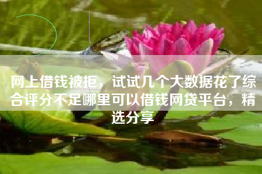 网上借钱被拒，试试几个大数据花了综合评分不足哪里可以借钱网贷平台，精选分享