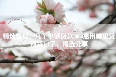 精选整理！几个小额贷款5000急用哪里贷网贷口子，精选分享