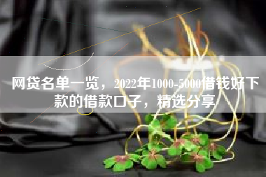 网贷名单一览，2022年1000-5000借钱好下款的借款口子，精选分享