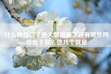 什么网贷口子是大数据花了还有哪些网贷能下款？这几个就是