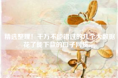 精选整理！千万不能错过的几个大数据花了能下款的口子网贷app