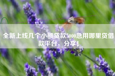 全新上线几个小额贷款5000急用哪里贷借款平台，分享！