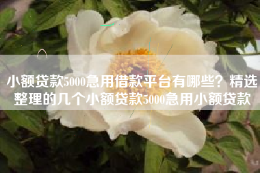 小额贷款5000急用借款平台有哪些？精选整理的几个小额贷款5000急用小额贷款