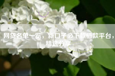 网贷名单一览，新口子必下款借款平台，精选分享