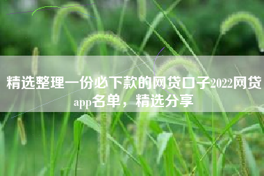 精选整理一份必下款的网贷口子2022网贷app名单，精选分享