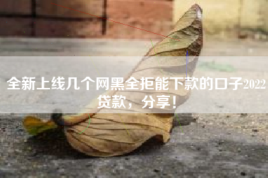 全新上线几个网黑全拒能下款的口子2022贷款，分享！
