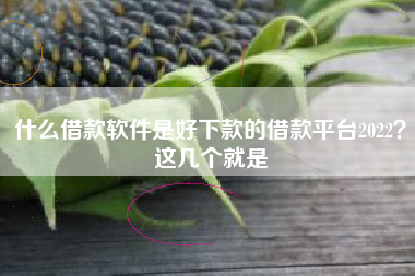 什么借款软件是好下款的借款平台2022？这几个就是