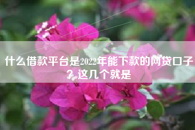什么借款平台是2022年能下款的网贷口子？这几个就是