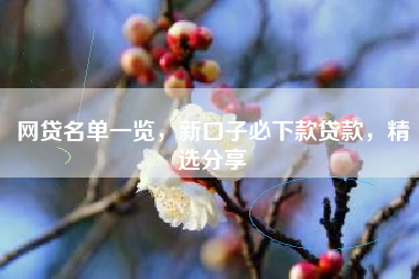网贷名单一览，新口子必下款贷款，精选分享