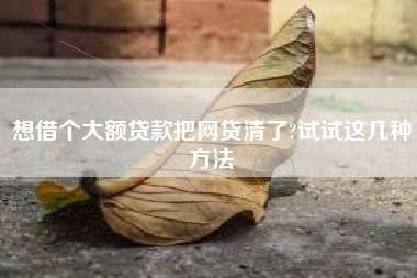 想借个大额贷款把网贷清了?试试这几种方法