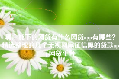 黑户能下的网贷有什么网贷app有哪些？精选整理的几个无视网黑征信黑的贷款app网贷平台