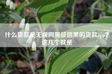 什么贷款是无视网黑征信黑的贷款app？这几个就是