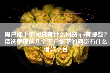 黑户能下的网贷有什么网贷app有哪些？精选整理的几个黑户能下的网贷有什么借款平台