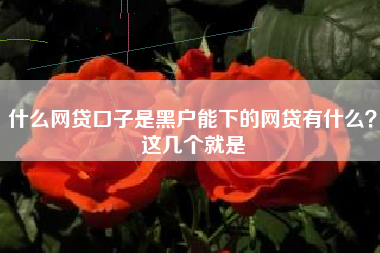 什么网贷口子是黑户能下的网贷有什么？这几个就是