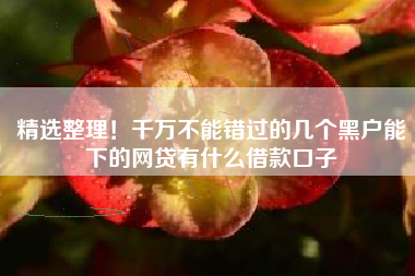 精选整理！千万不能错过的几个黑户能下的网贷有什么借款口子