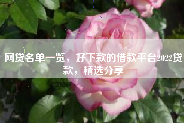 网贷名单一览，好下款的借款平台2022贷款，精选分享