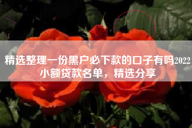 精选整理一份黑户必下款的口子有吗2022小额贷款名单，精选分享