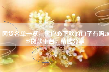 网贷名单一览，黑户必下款的口子有吗2022贷款平台，精选分享