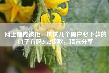 网上借钱被拒，试试几个黑户必下款的口子有吗2022贷款，精选分享