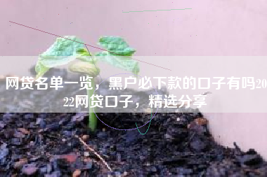 网贷名单一览，黑户必下款的口子有吗2022网贷口子，精选分享