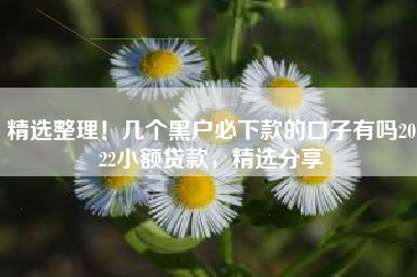 精选整理！几个黑户必下款的口子有吗2022小额贷款，精选分享