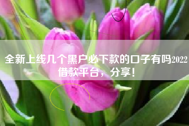 全新上线几个黑户必下款的口子有吗2022借款平台，分享！