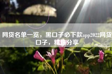 网贷名单一览，黑口子必下款app2022网贷口子，精选分享